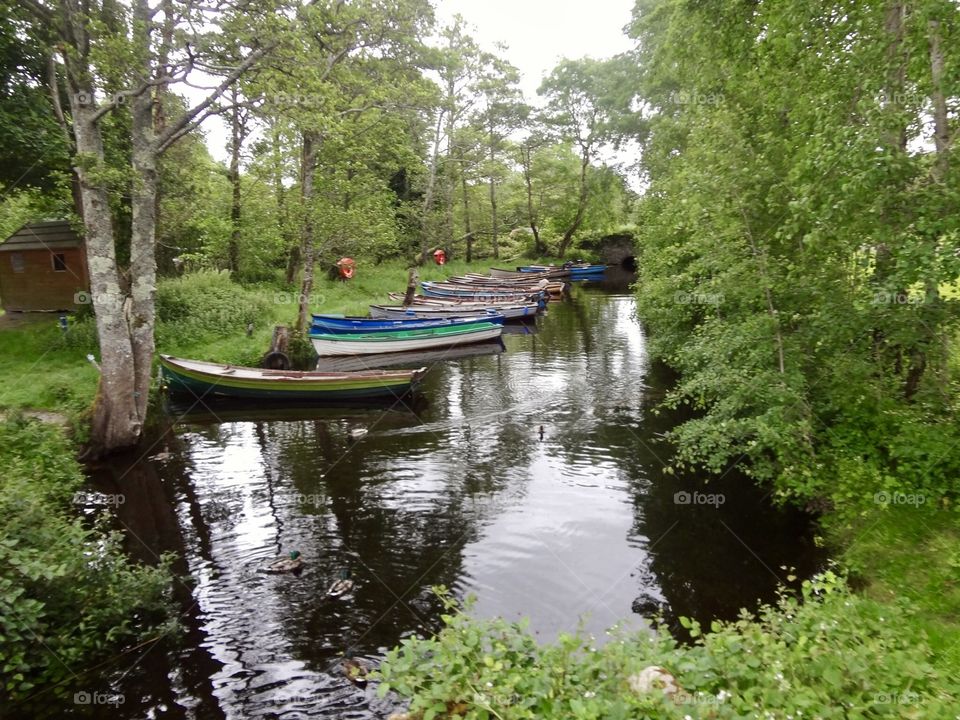 Irish Rowboats