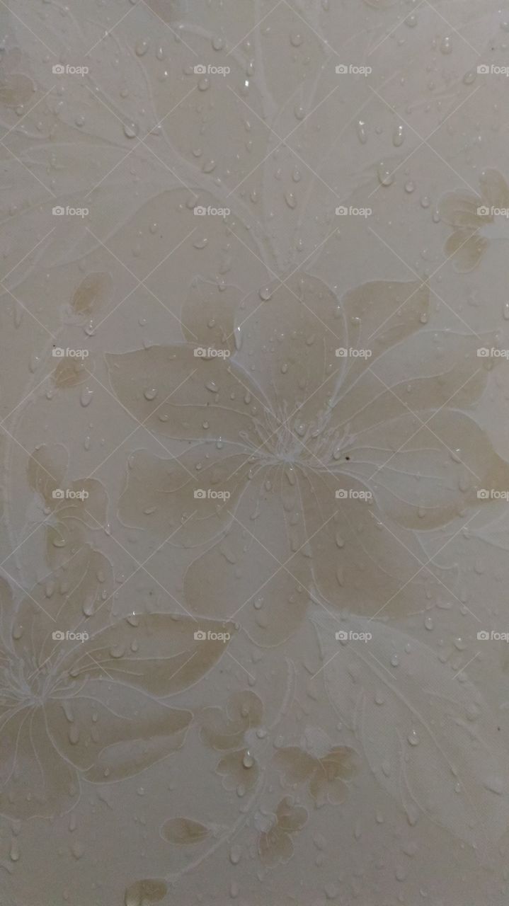 The flower is blossom on wallpaper
