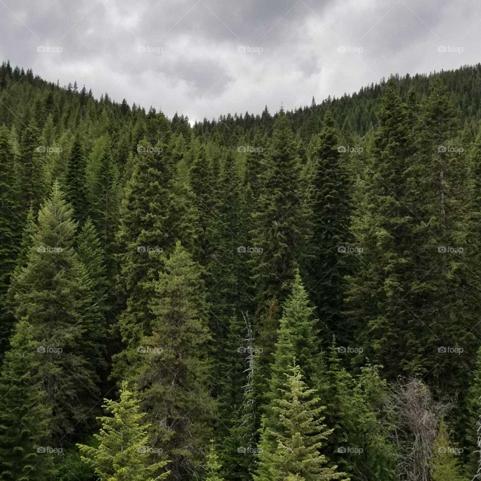view of mountain green trees under a stormy cloudy sky