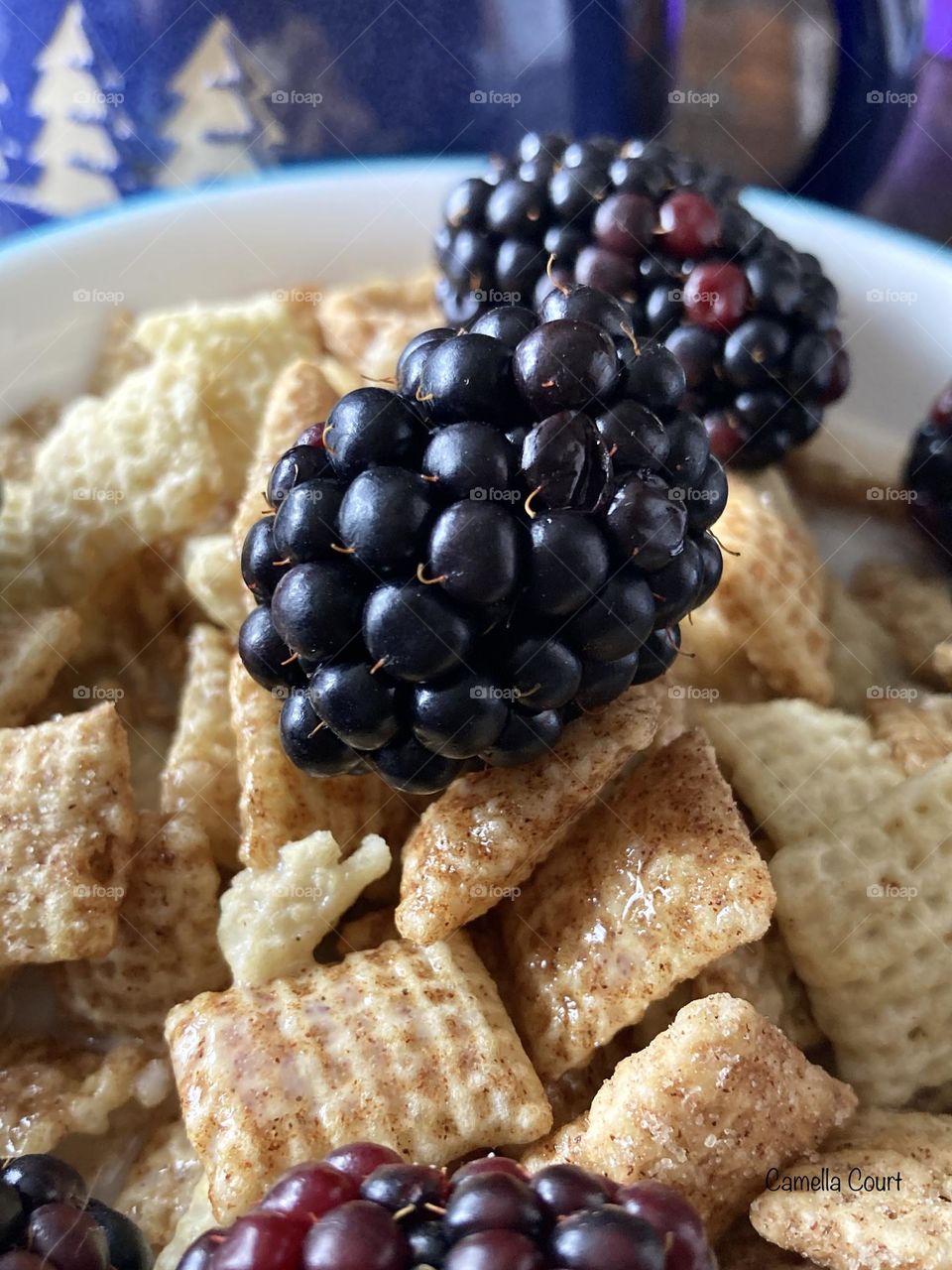 Blackberries perched on my gluten-free chex for my breakfast