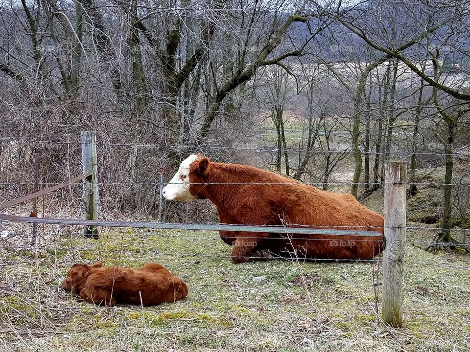 Driving the back Roads, Enjoying Nature