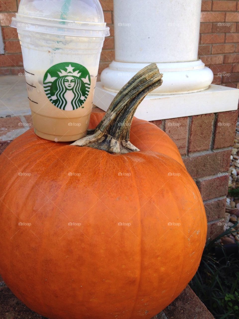 Coffee and pumpkin 