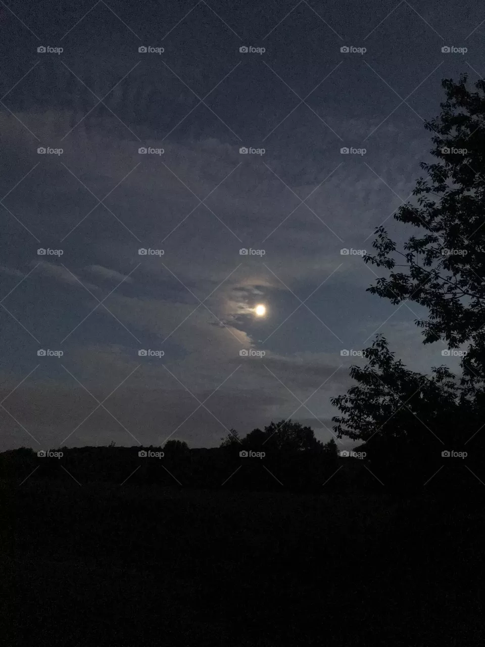 The Moon
