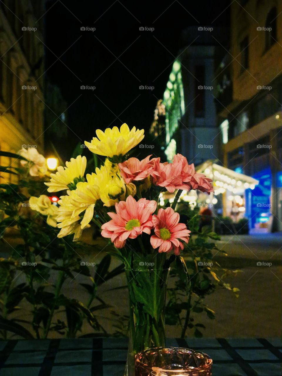 yellow and magenta flowers