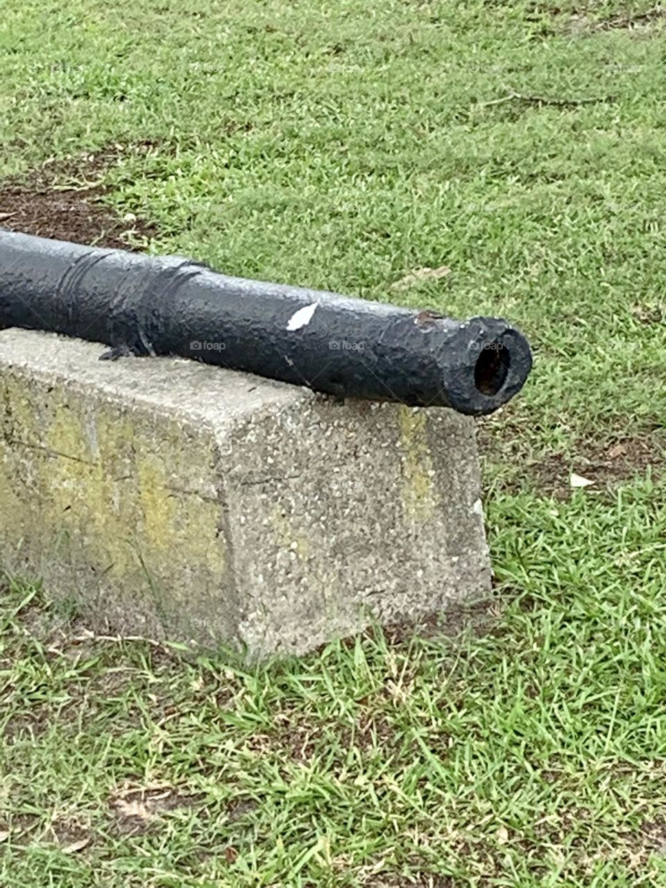 Cannon