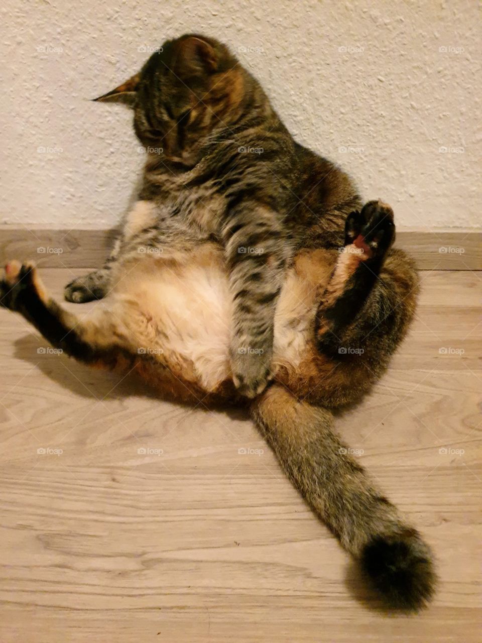 Please , don't look at me .Im embarrassed