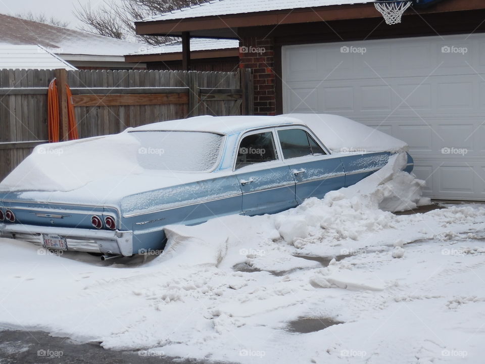 Buried under the ⛄ snow