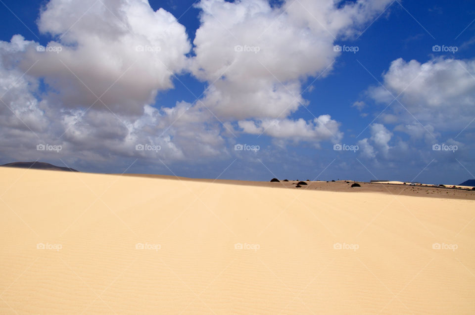 Sand dunes of Fuerteventura 