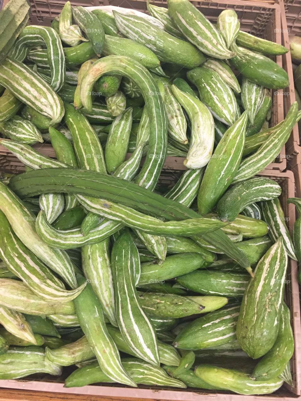Cucumbers at an international market in Columbus Ohio