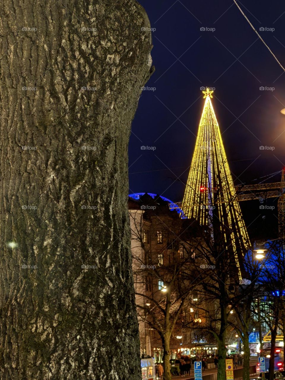 The greatest Christmas tree