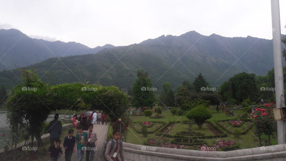 Botanical Garden Srinagar KASHMIR opened for this year Summer with a drizzles maintaining temperature at enjoyable level.
Tourists visit the Garden located at shoars of World famous Dal Lake Srinagar.