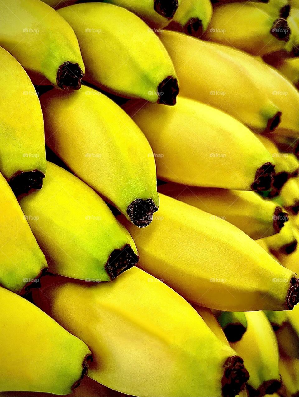 Yellow Bananas