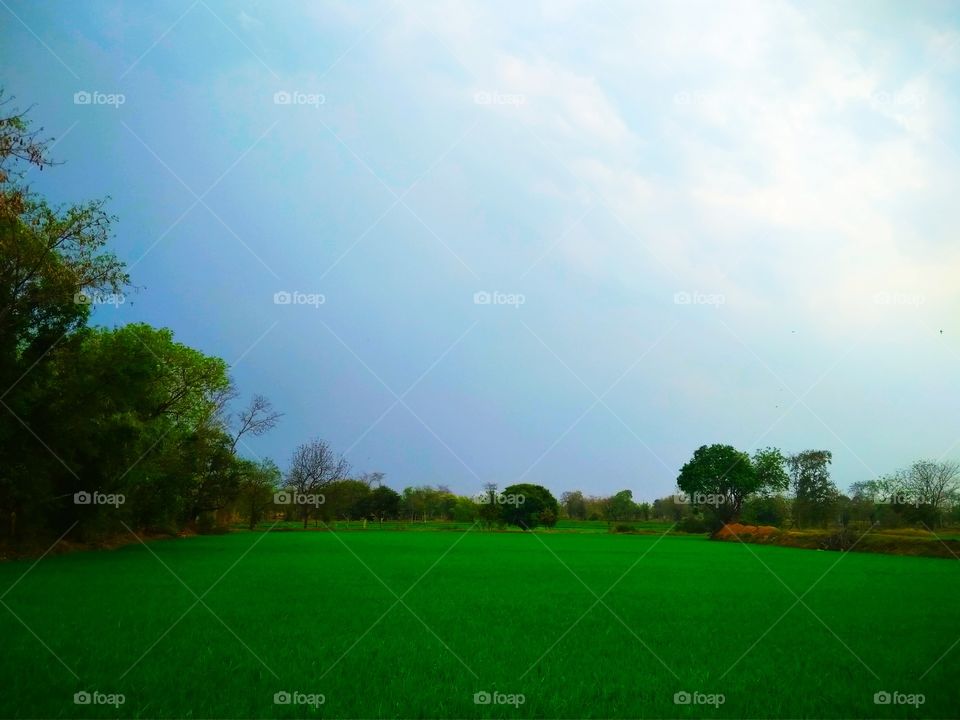 earth is the most beautiful planet of all time