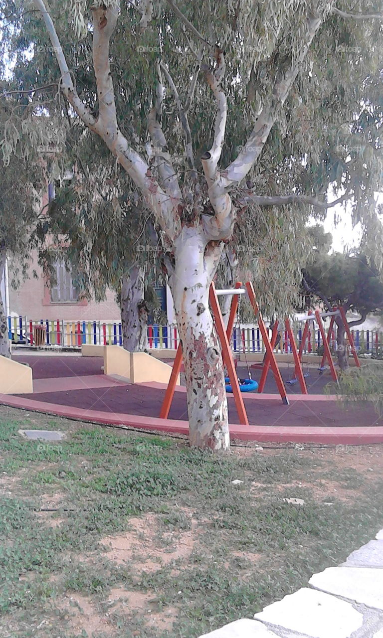 playground