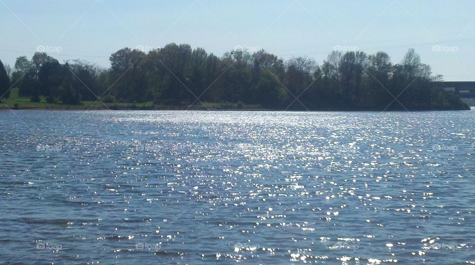 lake and trees