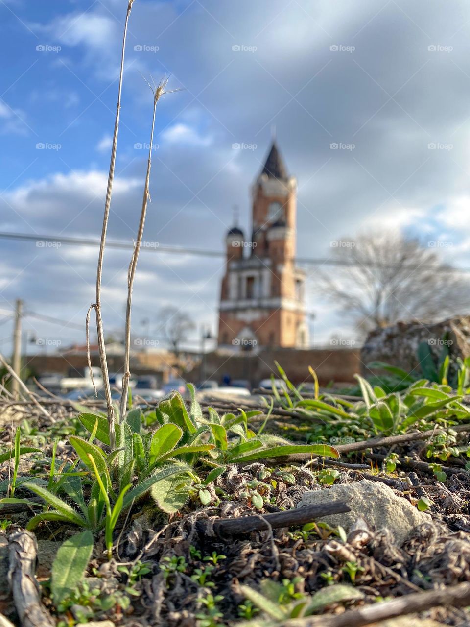Gardoš tower , focus on grass