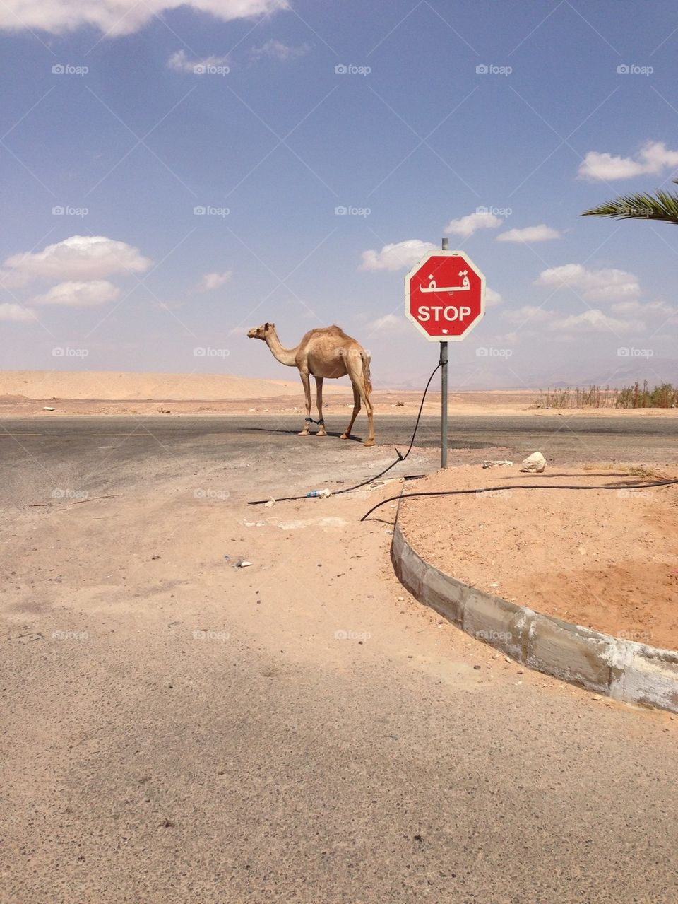 Kings Hwy, Jordan