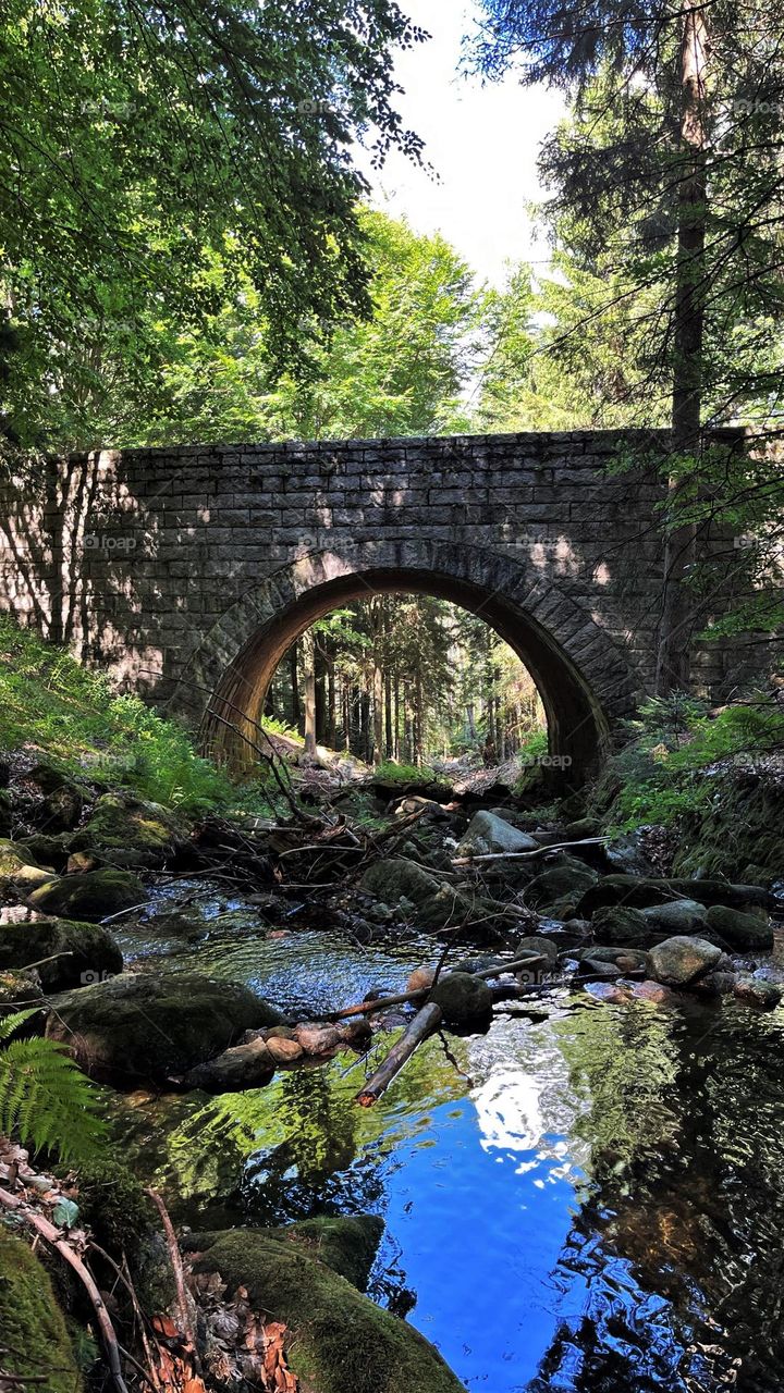 Deep within the forest, an ancient stone bridge connects the blanks of a lively stream.