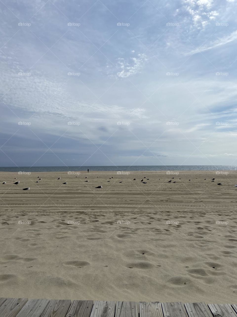 The beach in September. Seagulls have taken over a stretch of sand, summer crowds have disappeared, and one lone person walks the beach near the ocean.