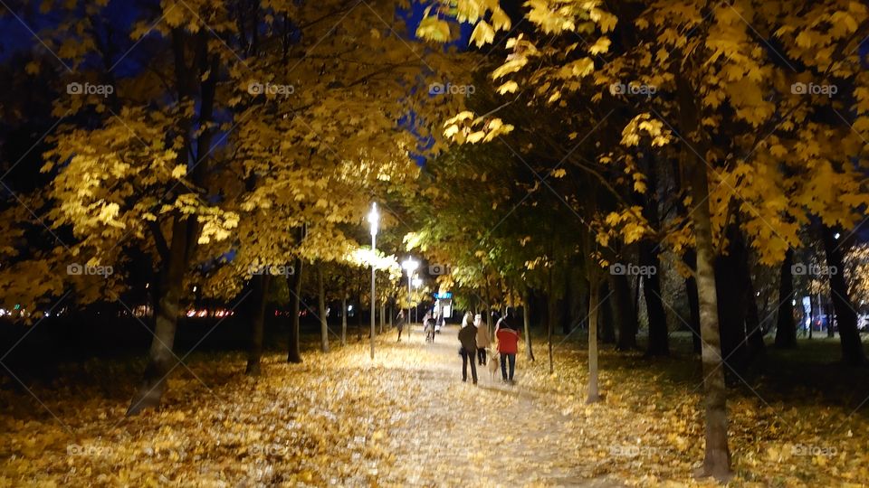 Evening autumn walk in the park🍂🍁