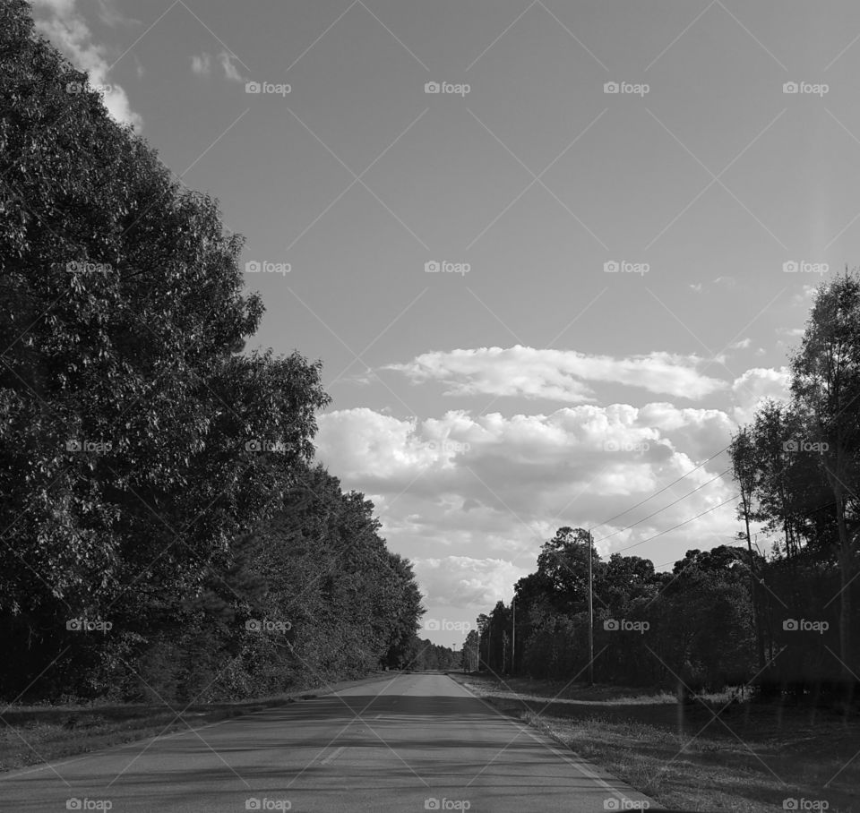 country drive grayscale