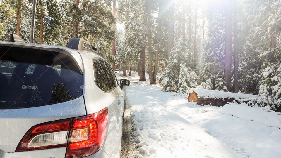 Out on a drive after a snowstorm.