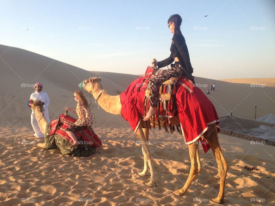 Camel Rides