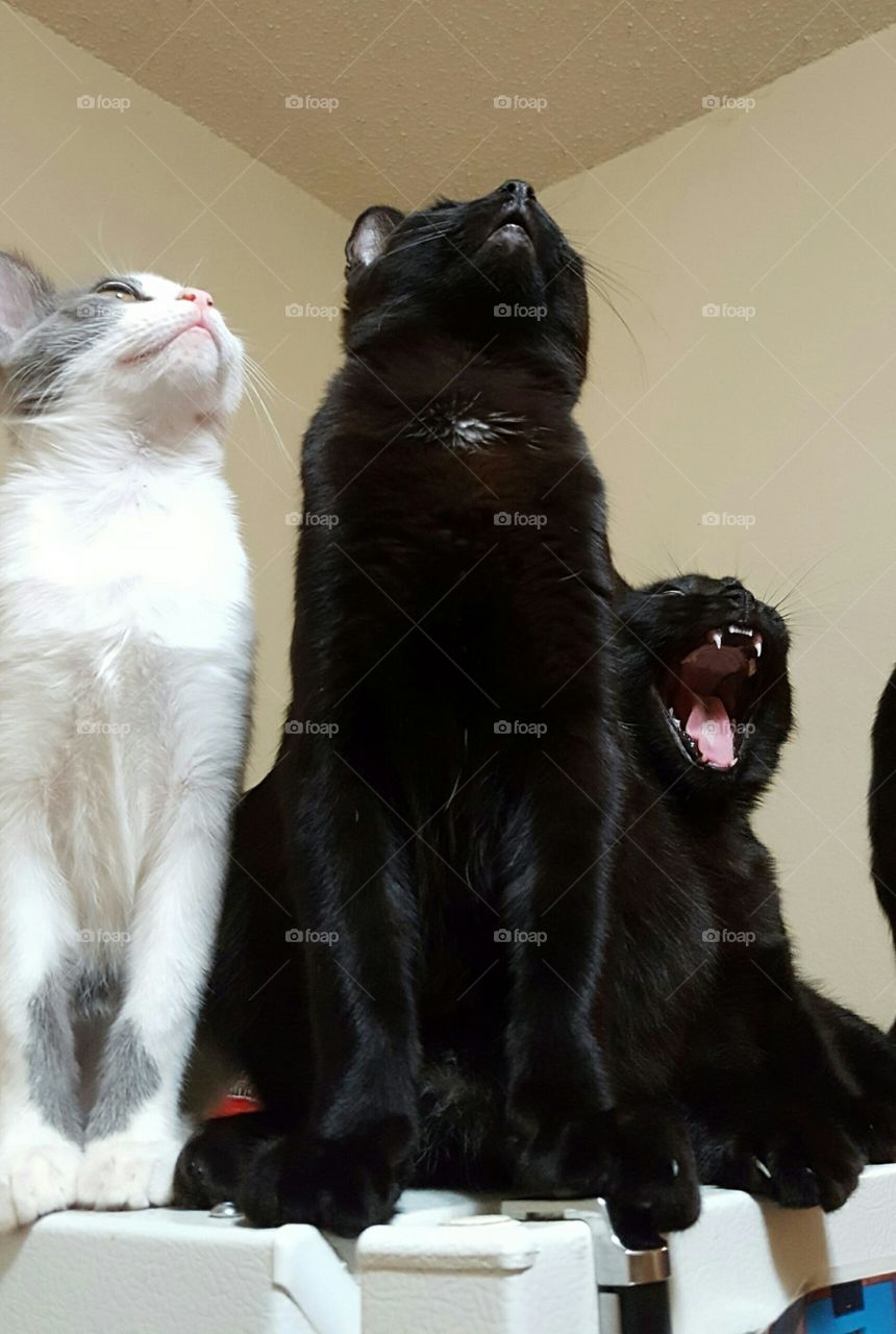 looking at the ceiling