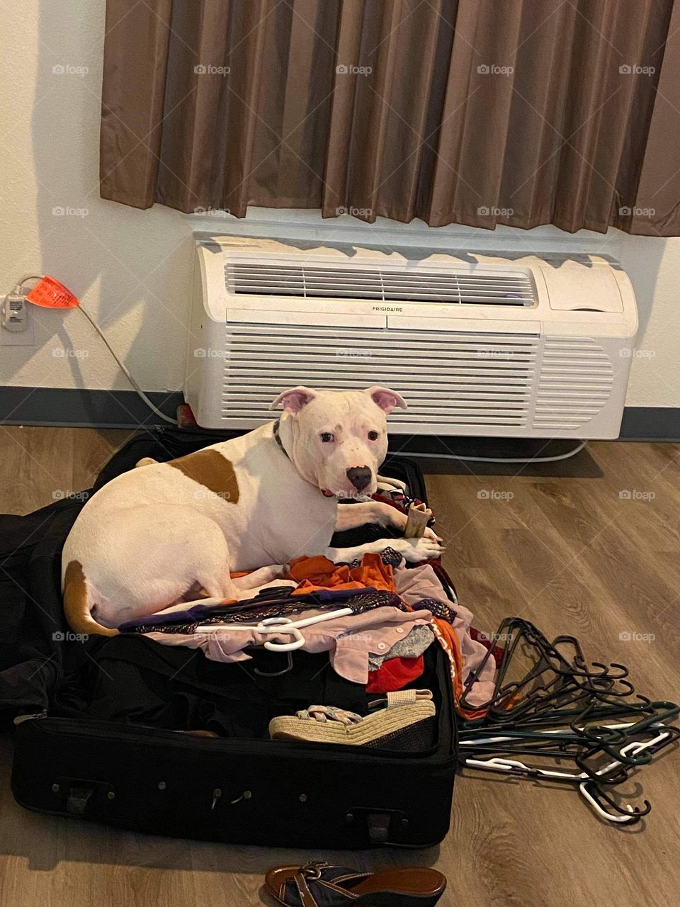 I’ll help you pack momma