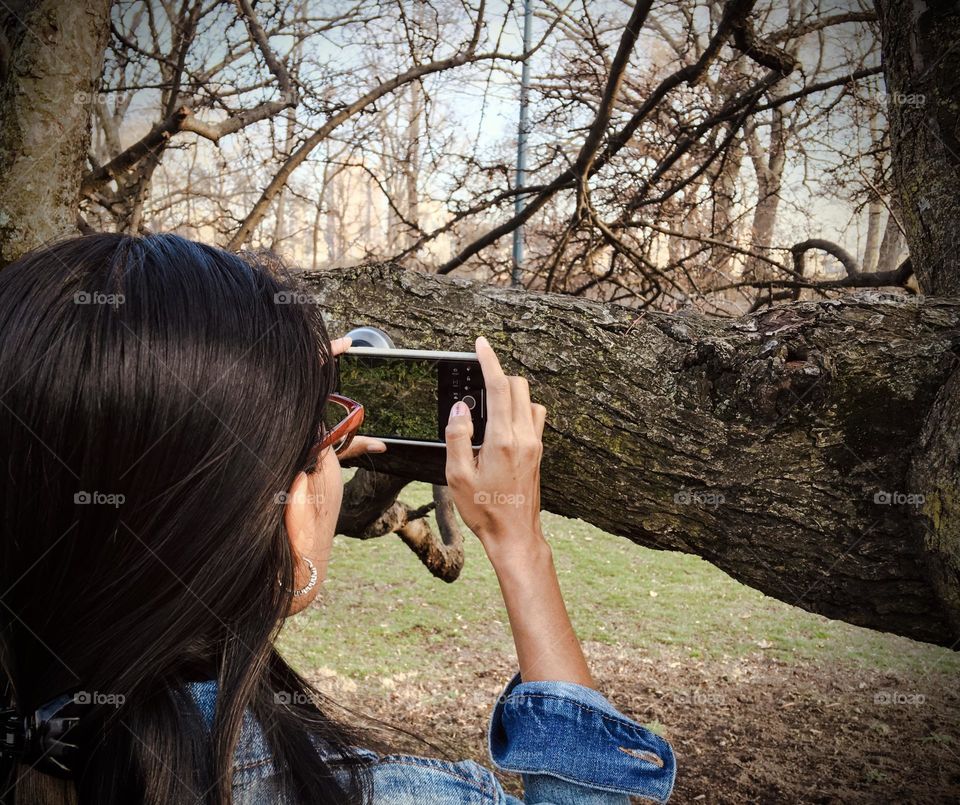 A woman taking a picture of the tree trunk 