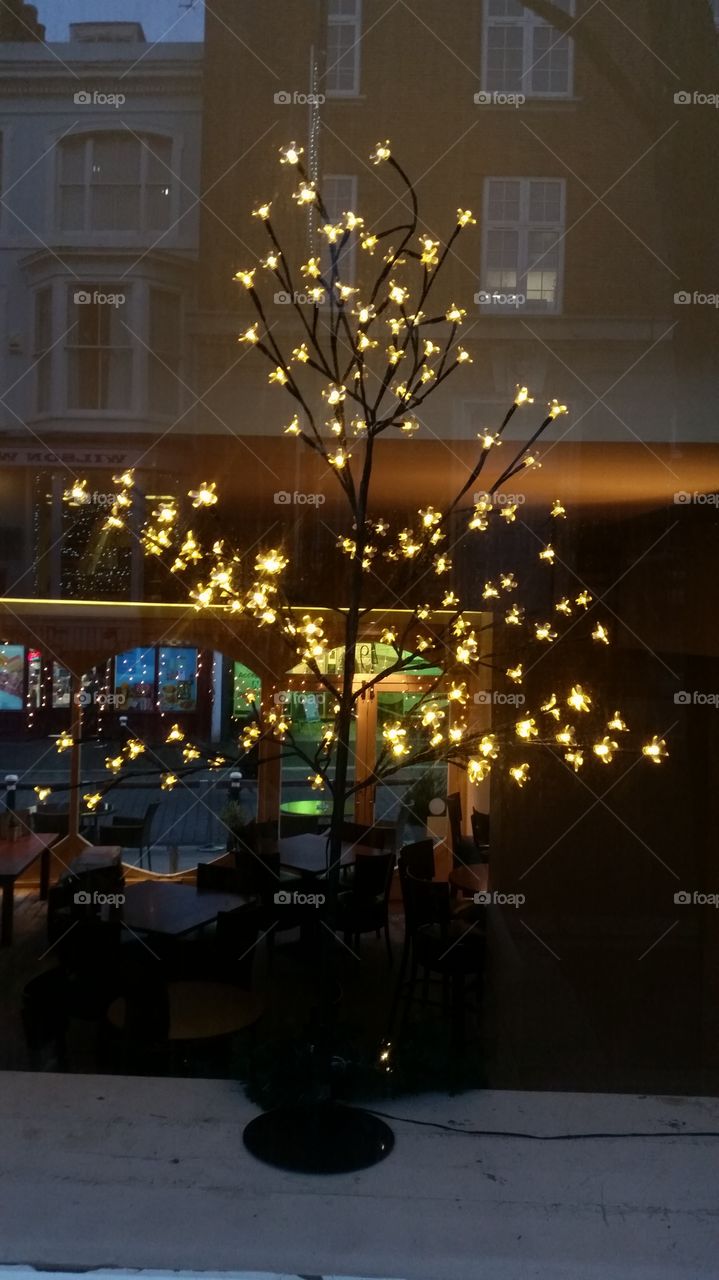 Christmas, Candle, Winter, Light, No Person