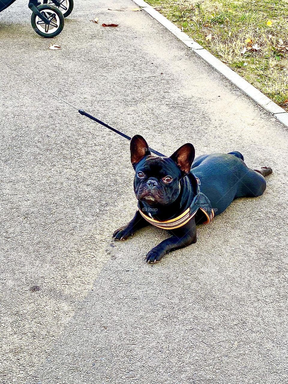 #autumn #song #lounging
#Resting #