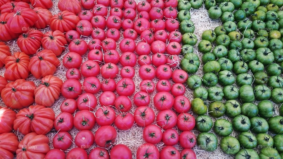 Food. Ingredients. Vegetables.