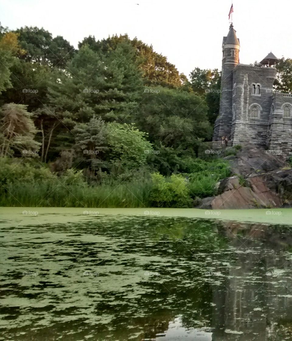 Central Park NYC