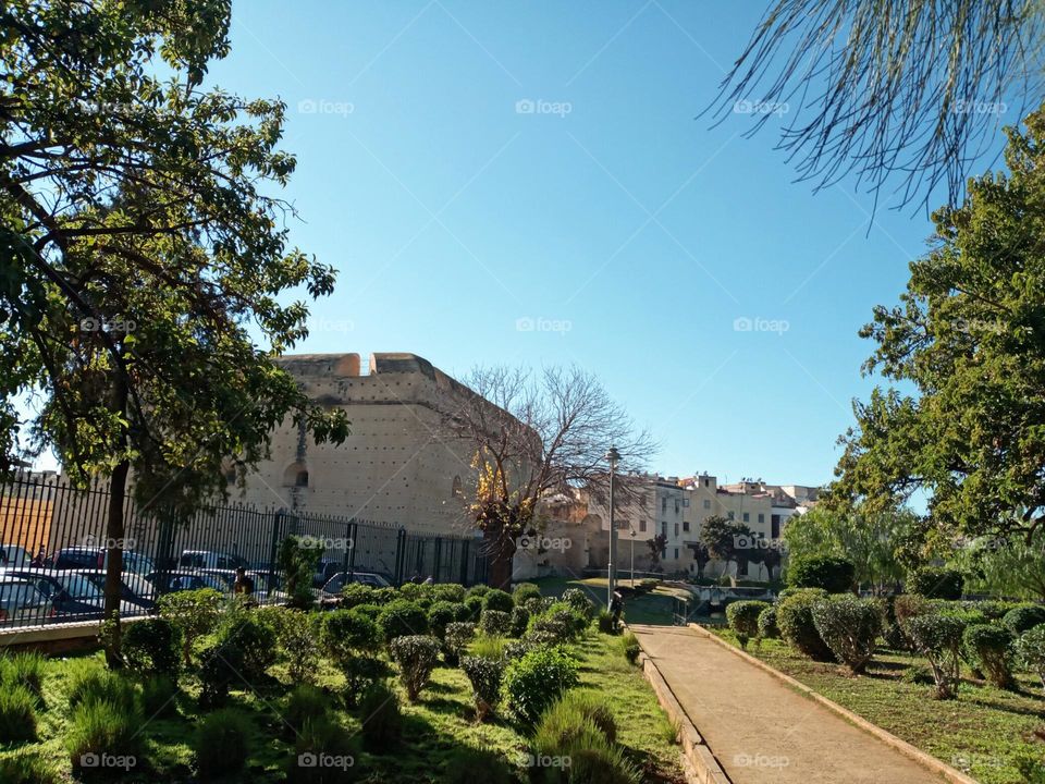 population between the nature