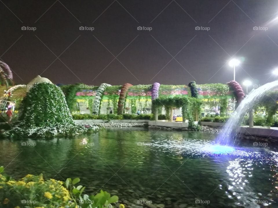 Dubai Miracle Garden