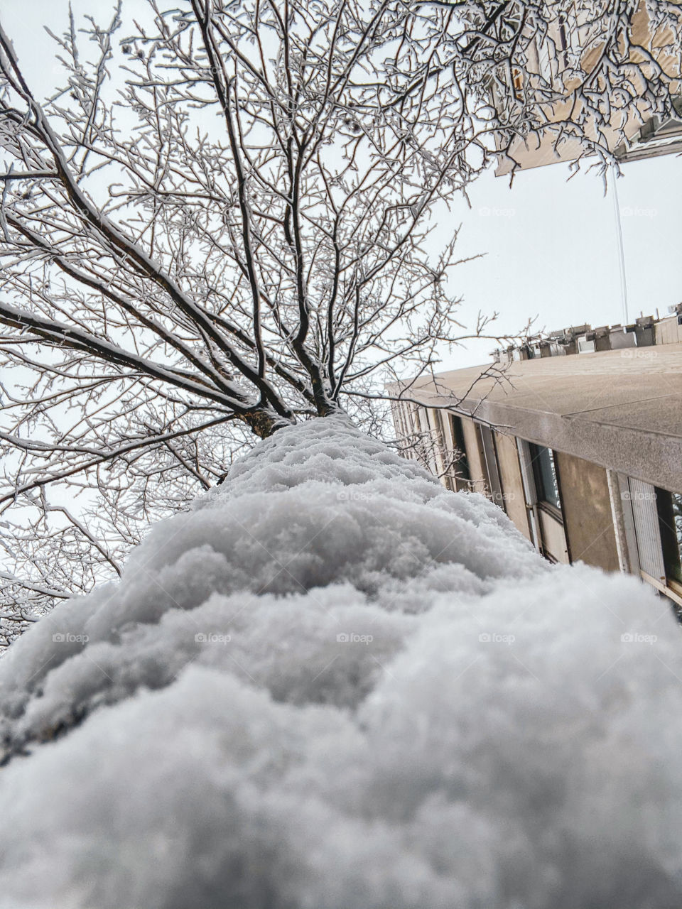 Winter day in Serbia