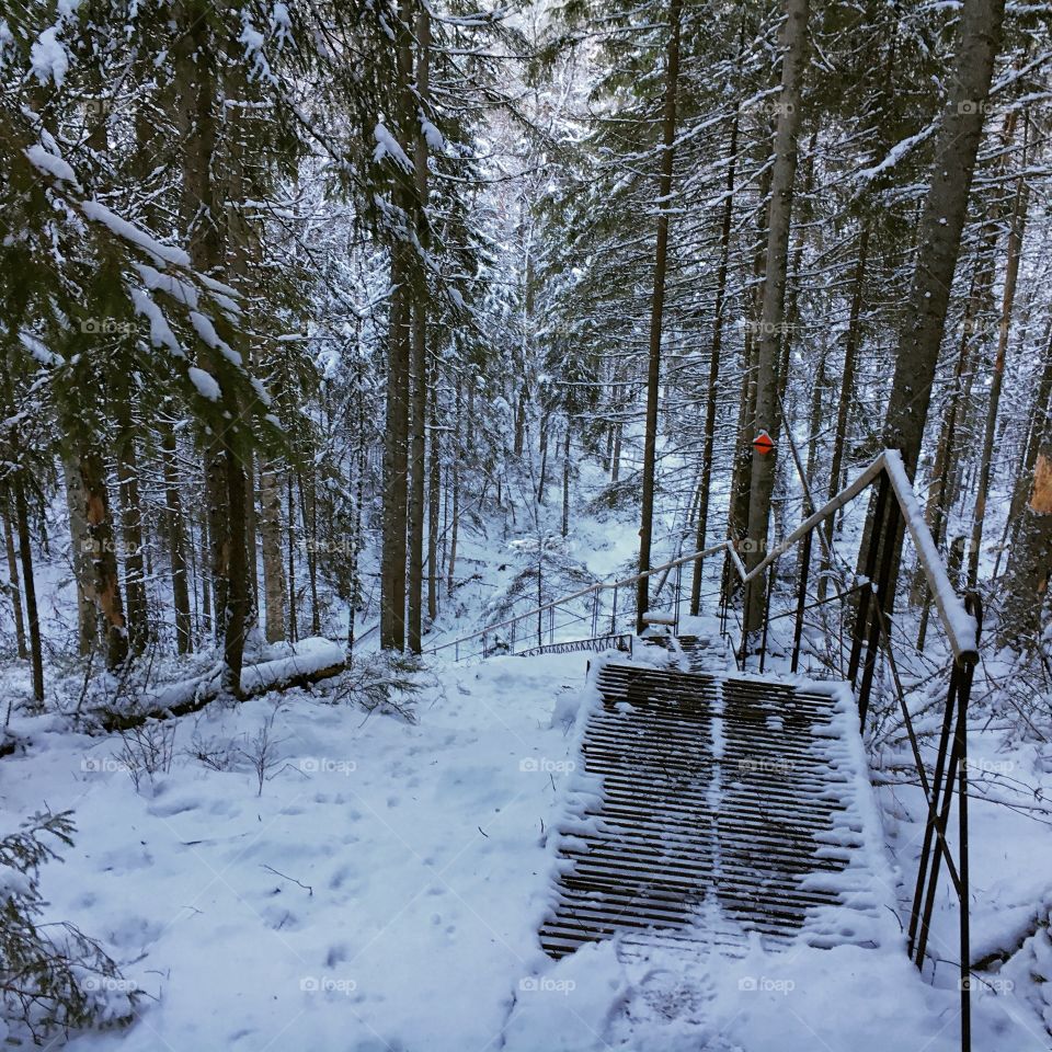 Frozen steps in a Finnish national park, snowy trees 