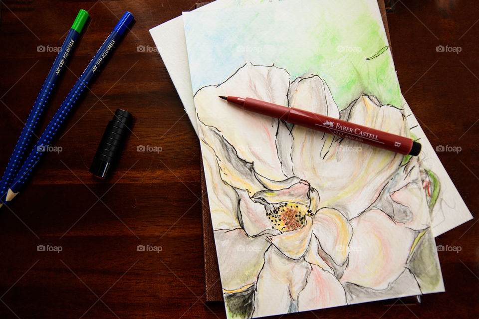 Flat lay Flower head closeup sketch on desk Sketching with Faber-Castell PITT Artist pens and aquarelle pencils using watercolor techniques