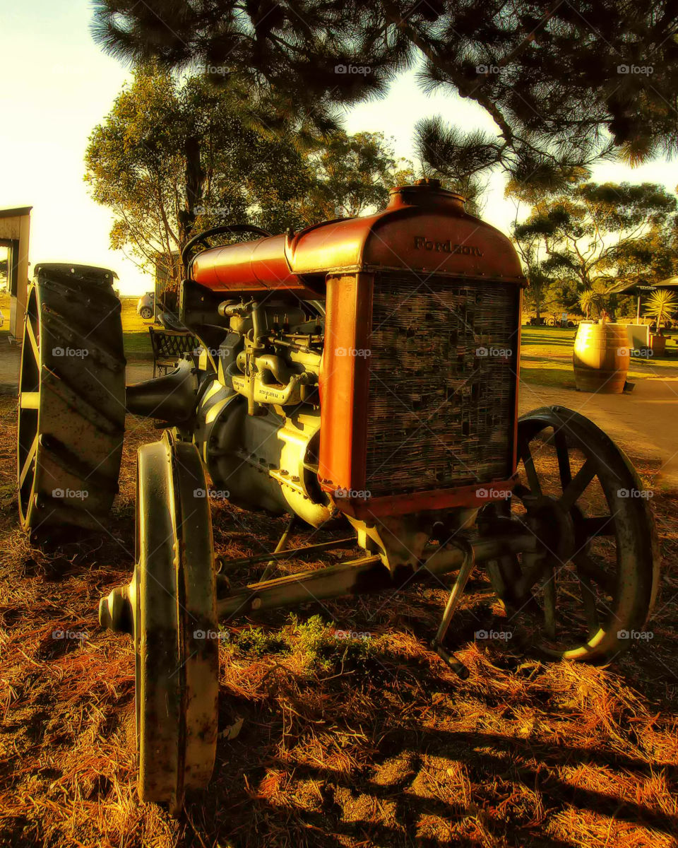 Fordson Tractor