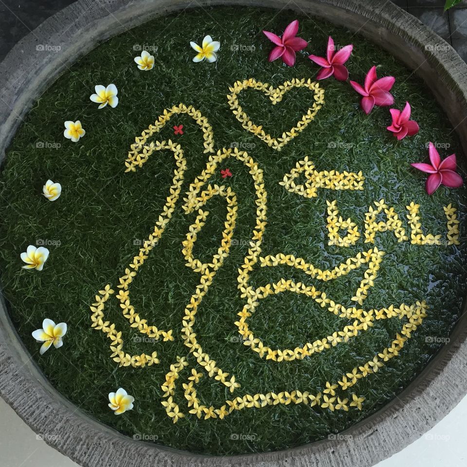 Bali
