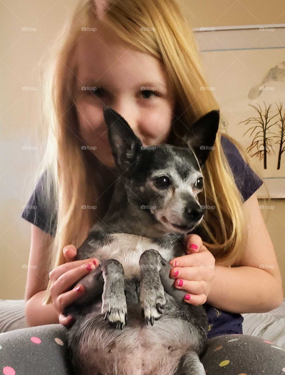 Smiling blonde girl holding her favorite grey and black dog while staring into the camera