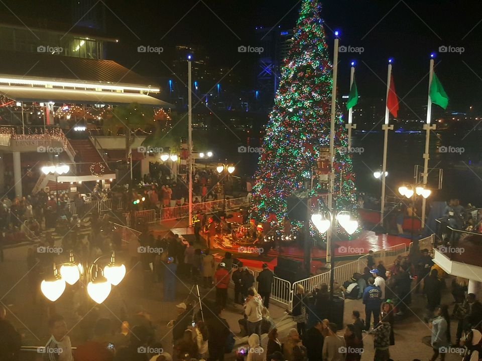downtown Jax Christmas lights festival Celebration