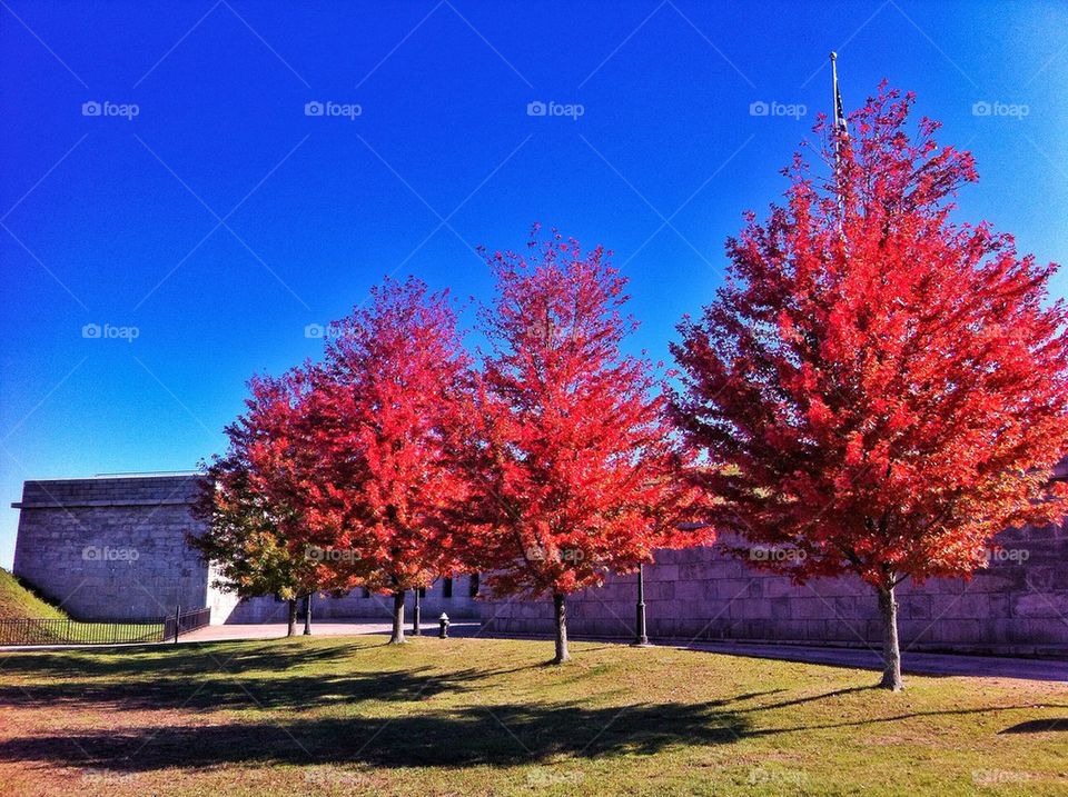 Fort Trumbull, New England CT