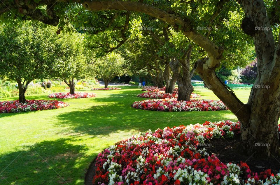 Scenic view of garden