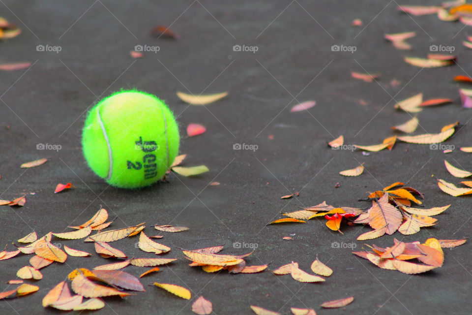 Tennis/sports