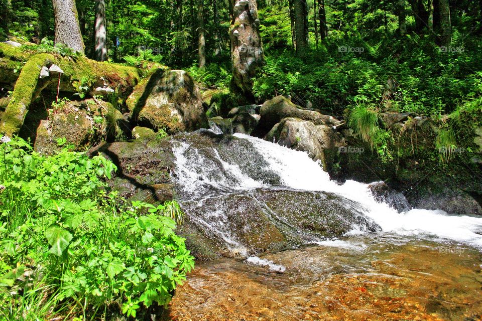 running. cascade of fresh water