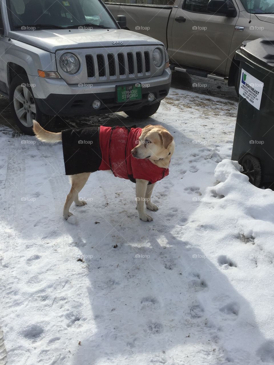 New coat on a freezing day 
