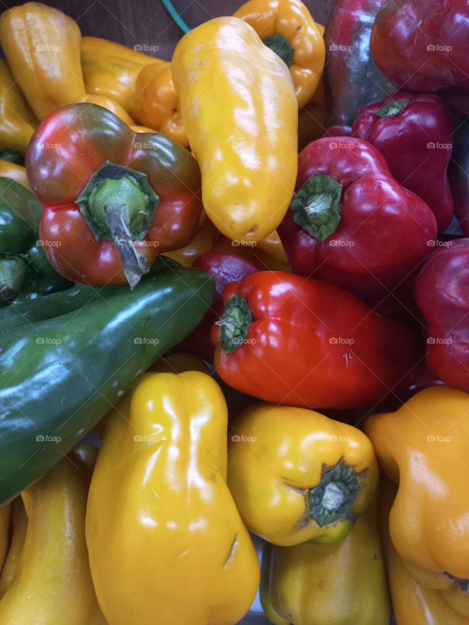 Pimentões. O pimentão um fruto e, não um legume é, pode ser consumido cru, assado, refogado, grelhado, recheado em saladas, tortas, molhos, suflês e em várias outras receitas