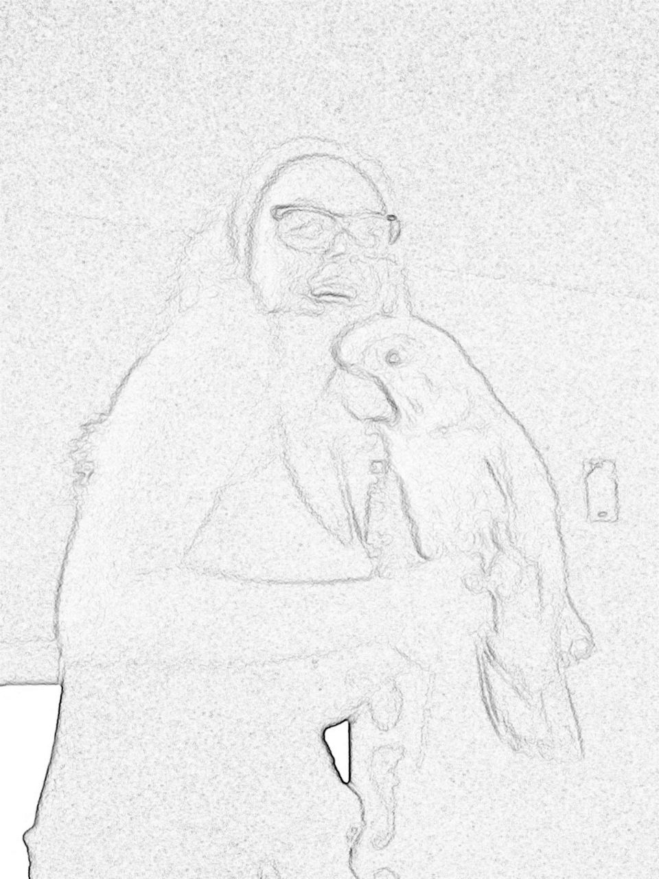 Sketch of Girl and her Cockatoo 